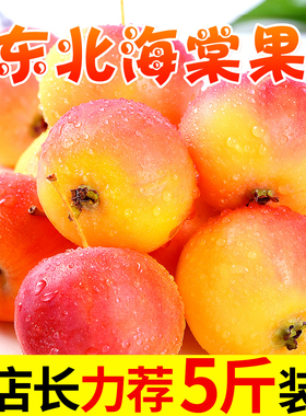 东北海棠果沙果新鲜水果现摘小苹果当季红果孕妇特产5斤包邮