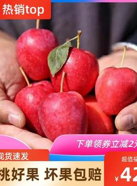 新疆伊犁香妃海棠果鸡心小苹果当季新鲜水果孕妇脆甜5斤整箱包邮