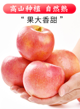 红富士苹果高原水果新鲜应当季陕西丑苹萍果整箱5现摘冰糖心9斤