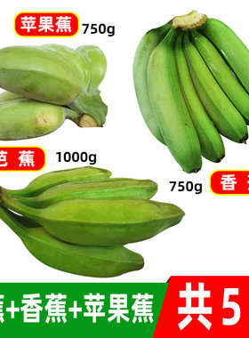 广东高州香蕉芭蕉苹果蕉5斤组合装农家自种新鲜现摘水果