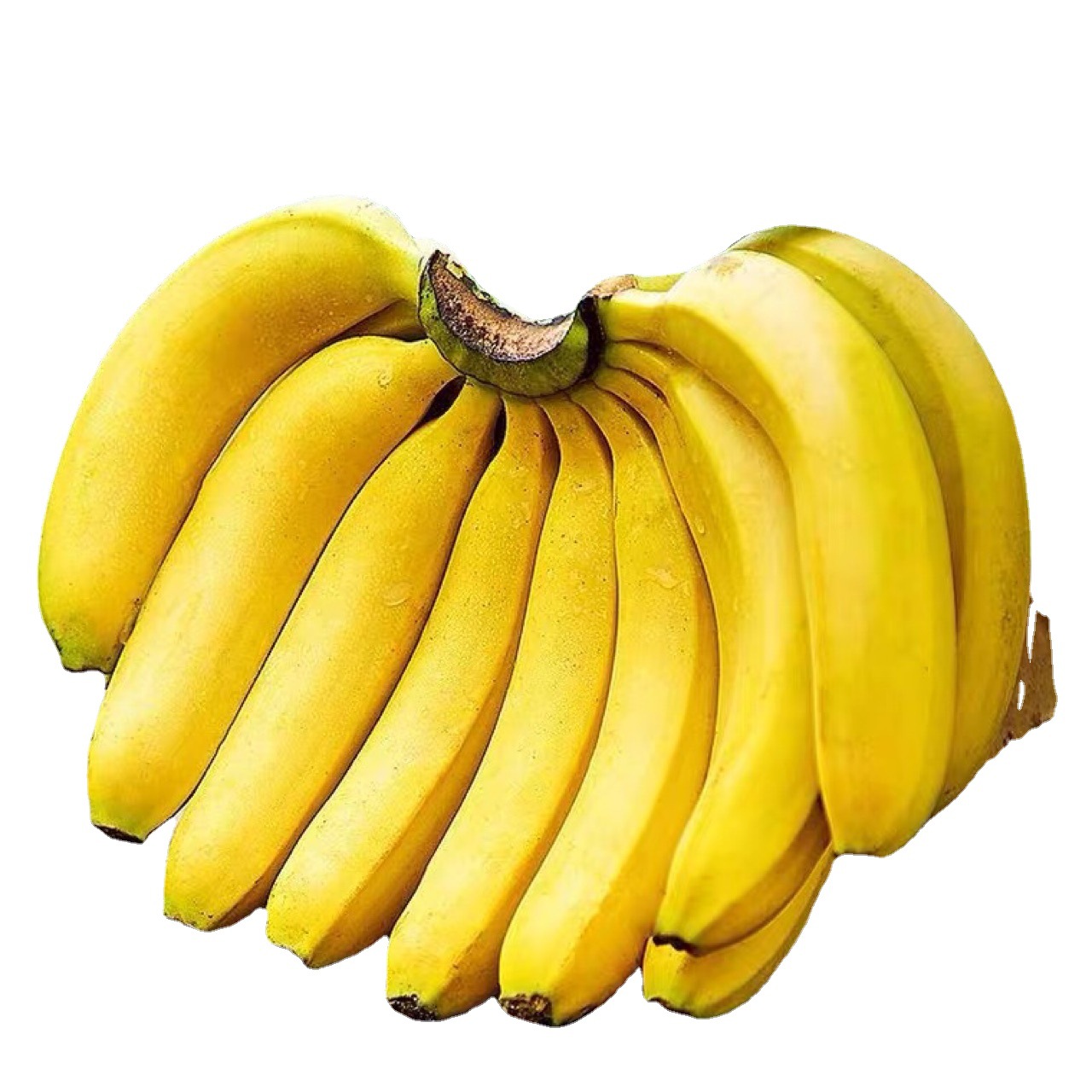 云南山甜香蕉10斤新鲜当季水果软香小米苹果芭蕉5