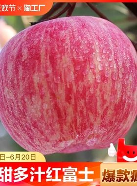 山东烟台红富士10斤苹果水果新鲜整箱包邮冰糖心栖霞平果5食品