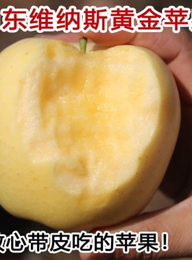 山东维纳斯黄金苹果新鲜水果脆甜应季礼盒非奶油富士整箱5斤