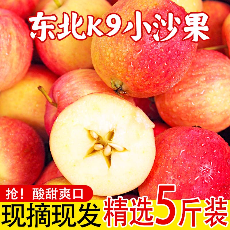 东北沙果k9新鲜海棠果小苹果当季酸甜脆孕妇水果现摘5斤整箱包邮