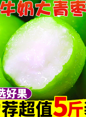 福建漳州牛奶大青枣5斤枣子新鲜当季水果脆甜苹果枣冬枣10包邮D