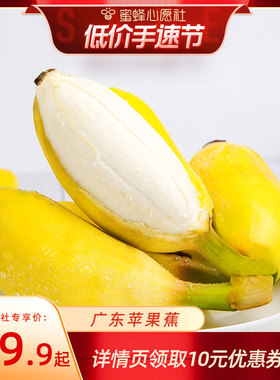 【心愿手速节】【恰好庄园】广东苹果蕉 3/5斤单果75g+新鲜水果