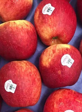 爱妃苹果6个装新鲜苹果新西兰美国进口水果超大苹果 江浙沪包顺丰