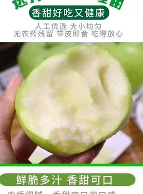 正宗狼牙山农产品王林青苹果当季新鲜水果鲜果脆甜个大产地直邮