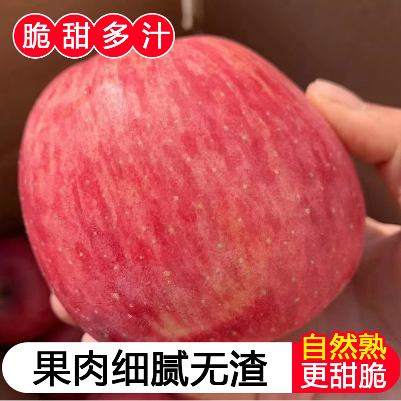 一级精品洛川红富士大苹果脆甜多汁陕西正宗新鲜水果源头产地直发