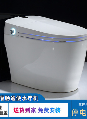 智能马桶家用无水箱一体式座便遥控全自动翻盖即热恒温冲洗坐便器