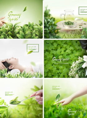 清新绿茶自然健康茶叶身体护理海报背景psd分层设计素材101708