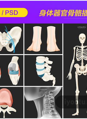 手绘人体器官骨骼健康疾病宣传插图海报psd设计素材源文件992308