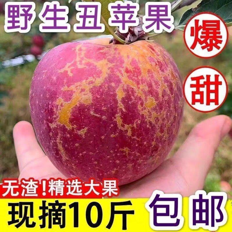 大凉山丑苹果水果新鲜当季整箱10斤四川盐源红富士冰糖心苹果