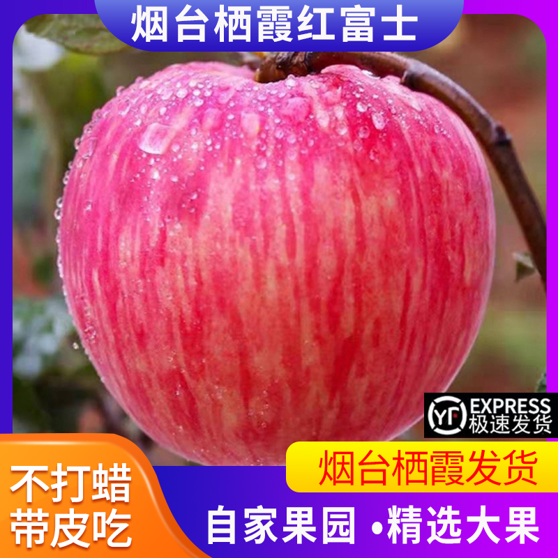 烟台红富士苹果栖霞新鲜应当季水果 冰糖一级精品10斤脆甜丑平果