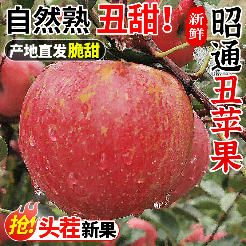 云南昭通市丑苹果10斤冰糖心新鲜水果当季整箱红富士大凉山苹果