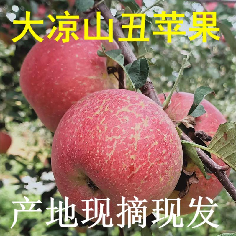 四川大凉山丑苹果冰糖心苹果新鲜当季水果整箱盐源红富士
