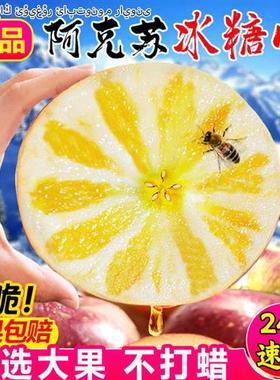 【精品】正宗新疆阿克苏冰糖心苹果水果新鲜脆甜10斤红富士苹果丑