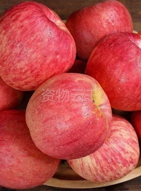 正宗山东烟台红富士栖霞苹果脆甜苹果一级新鲜水果10斤包邮冰糖心