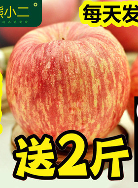 条纹烟台苹果山东栖霞红富士苹果10斤包邮新鲜水果孕妇吃的萍平果
