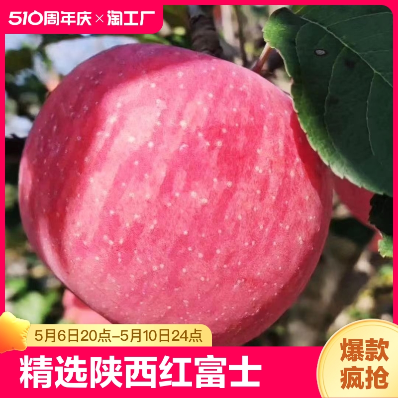 精选陕西洛川苹果红富士脆甜冰糖心苹果批发整箱新鲜水果自然