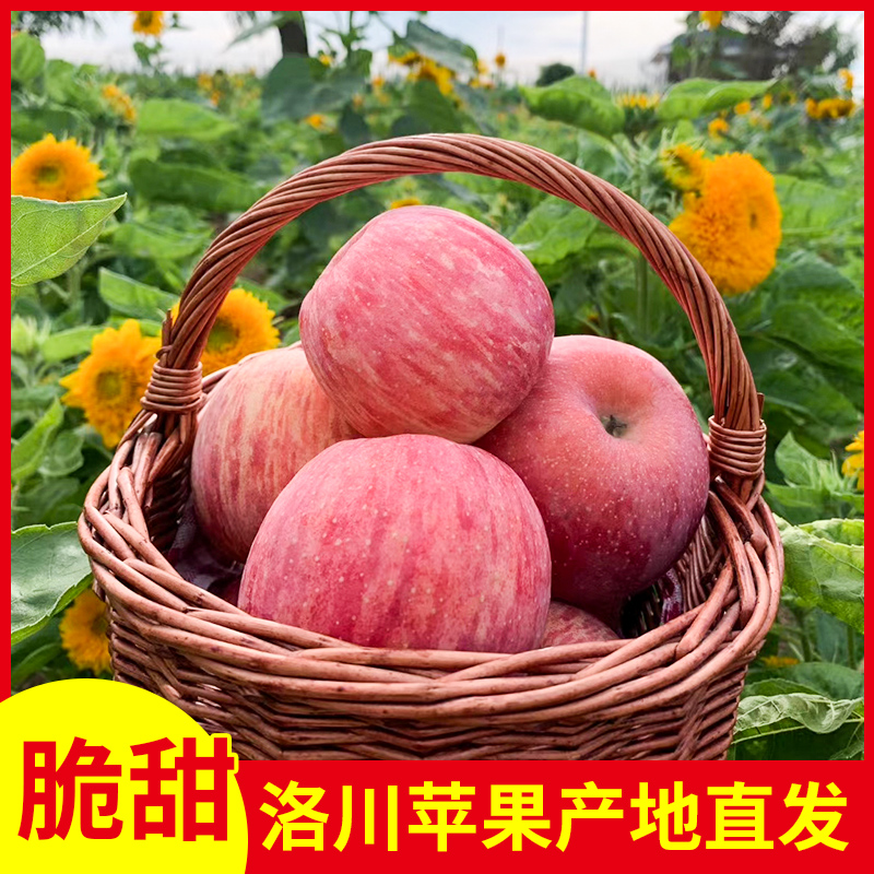 正宗陕西洛川苹果水果新鲜当季整箱红富士冰糖心一级脆甜2/5/9斤