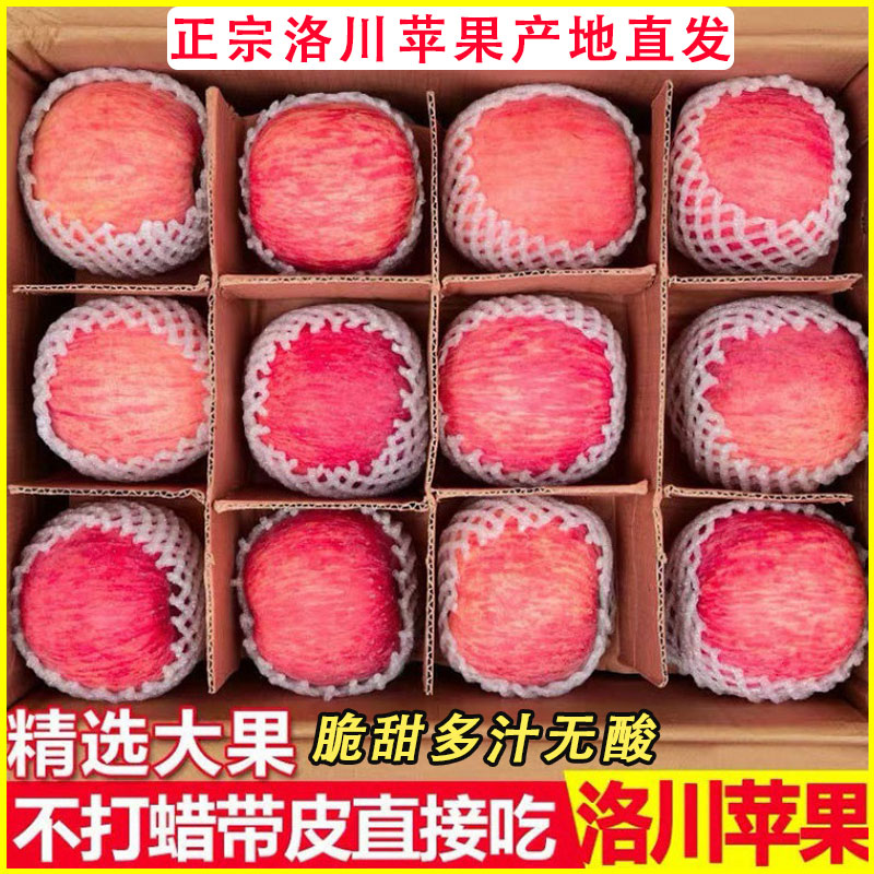 正宗陕西洛川红富士苹果产地直发延安当季新鲜水果脆甜冰糖心整箱
