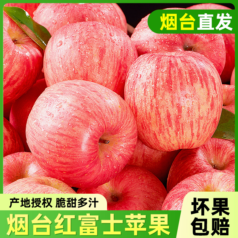 正宗山东烟台红富士苹果新鲜时令水果应季当季整箱脆甜苹果鲜果