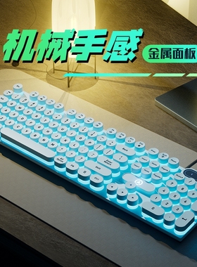 有线机械键盘电竞游戏办公专用静音男女生笔记本电脑台式USB外接