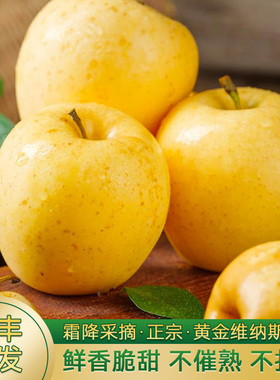 【顺丰】正宗维纳斯黄金苹果山东烟台当季采摘新鲜水果整箱礼盒装
