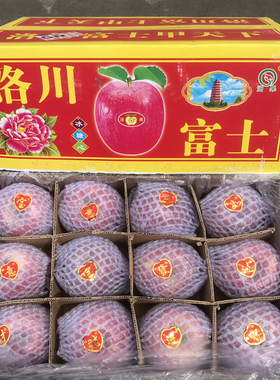 新货包邮陕西洛川红富士苹果13斤礼盒装脆甜多汁新鲜当季水果 大