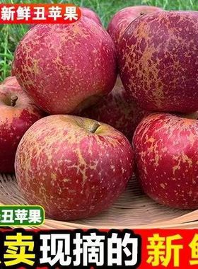 云南昭通丑苹果冰糖心水果新鲜野生10斤整箱一级红富士