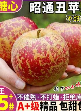 云南昭通丑苹果冰糖心10斤新鲜苹果当季孕妇水果红富士整箱大凉山