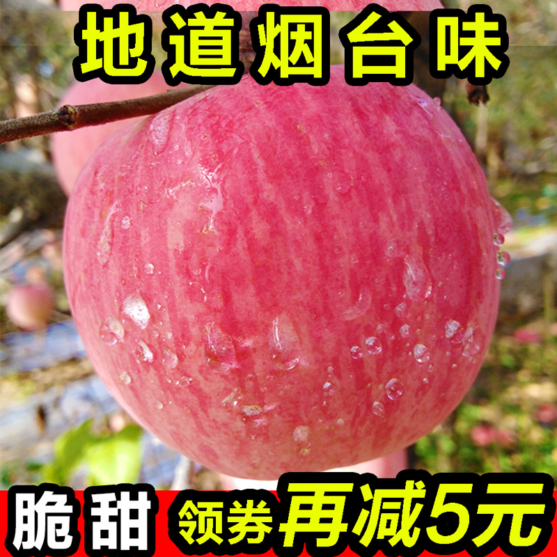 烟台苹果水果新鲜红富士整箱10斤一级正带脆甜应当季山东栖霞精品