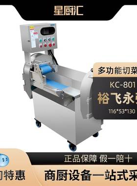 裕飞永强KC-801切菜机多功能切菜机商用大型切片切菜机食品工厂