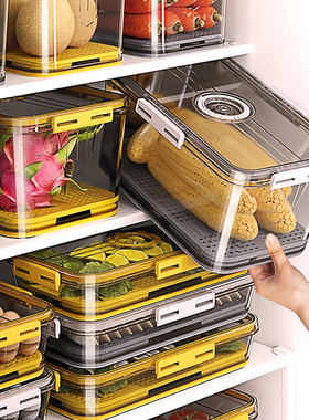 冰箱收纳盒保鲜食品级专用密封食物冷藏速冻饺子盒葱姜蒜沥水厨房