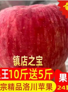 超大苹果当季陕西延安洛川苹果水果果王15斤脆甜多汁孕妇老人吃的