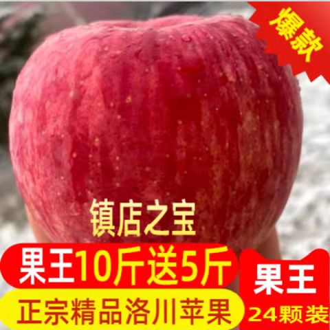 超大苹果当季陕西延安洛川苹果水果果王15斤脆甜多汁孕妇老人吃的