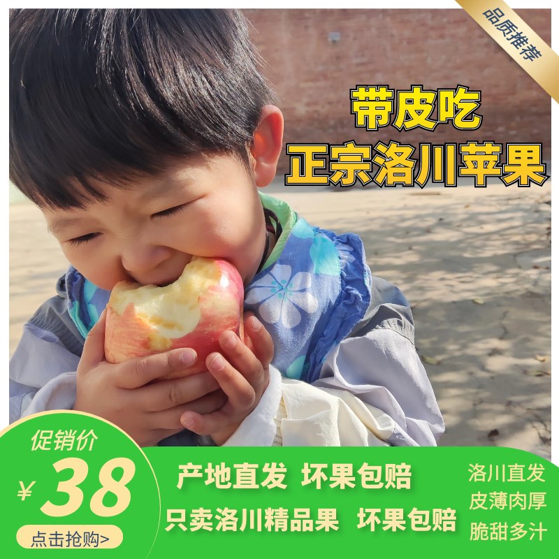 洛川苹果陕西正宗红富士产地直发整箱新鲜当季水果超大精品果