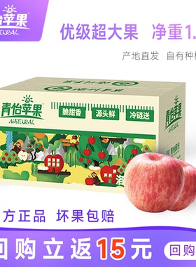 洛川苹果时令新鲜水果陕西红富士2枚超大果试吃装