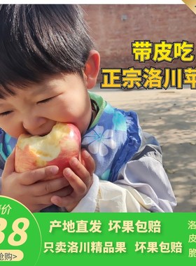 洛川苹果陕西正宗红富士产地直发整箱新鲜当季水果超大精品果
