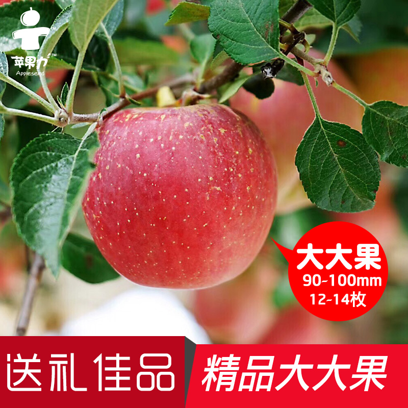 云南昭通丑苹果新鲜水果冰糖心红富士脆甜超大果现摘现发整箱10斤