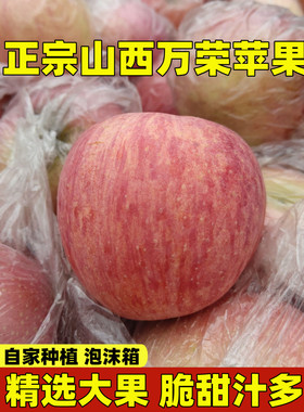 山西运城万荣优质红富士苹果新鲜水果超大脆甜冰糖心丑特大果10斤