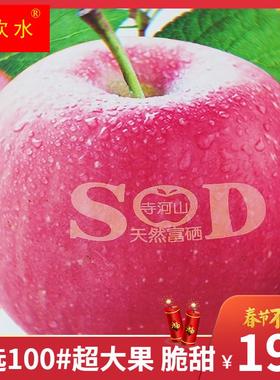 水果高档礼盒新鲜一级苹果灵宝寺河山SOD精品红富士超大新年送礼