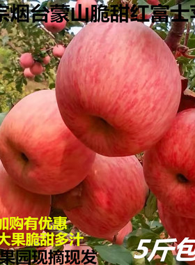 红富士苹果烟台沂蒙山10时令脆甜大果红果新鲜水果冰糖心5斤