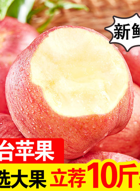 烟台苹果水果山东栖霞红富士10新鲜孕妇当季5斤一级整箱脆甜