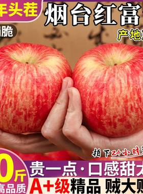 山东烟台红富士苹果10斤新鲜水果整箱栖霞冰糖心丑平果整箱包邮甜