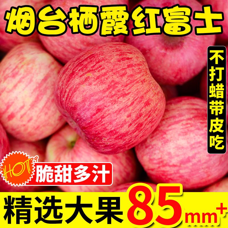 苹果水果山东烟台苹果红富士10新鲜当季水果斤整箱脆甜包邮冰糖心