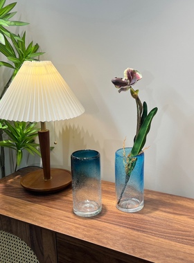 过渡色夏日气泡花瓶 手工玻璃花瓶 家居好物分享客厅摆件台面花瓶