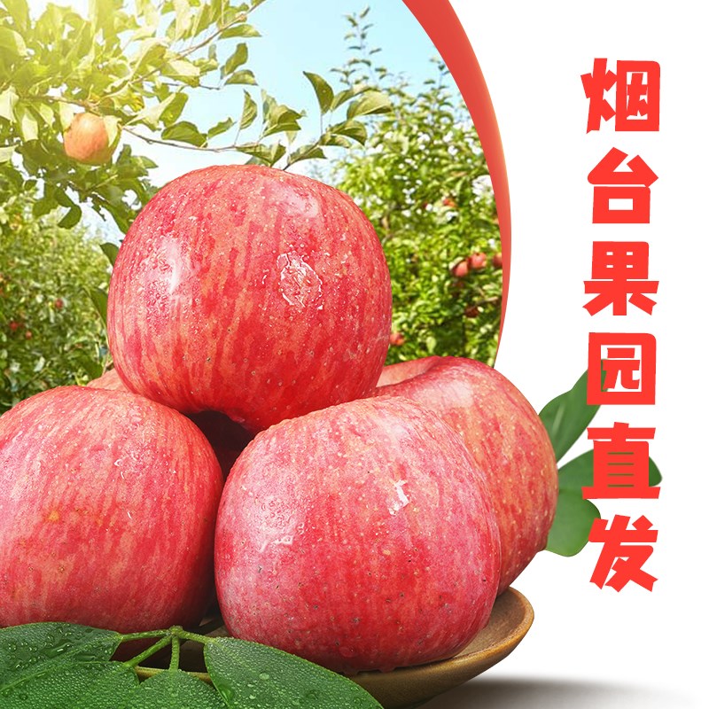 特产烟台实惠正宗整箱红富士苹果新鲜新鲜水果栖霞装丑果苹果