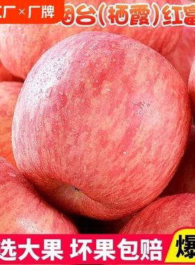 烟台红富士苹果水果10斤当季整箱山东栖霞新鲜苹果包邮精选自然
